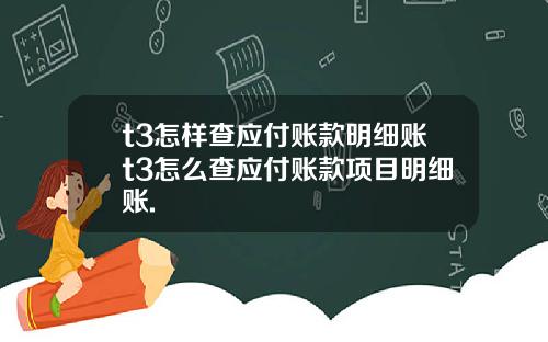 t3怎样查应付账款明细账t3怎么查应付账款项目明细账.