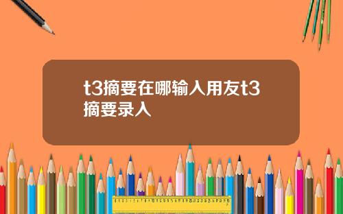 t3摘要在哪输入用友t3摘要录入