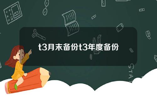 t3月末备份t3年度备份