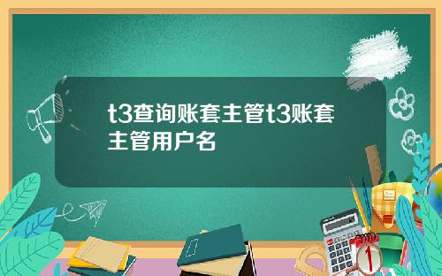 t3查询账套主管t3账套主管用户名