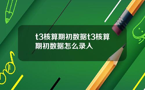 t3核算期初数据t3核算期初数据怎么录入