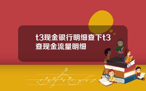 t3现金银行明细查下t3查现金流量明细