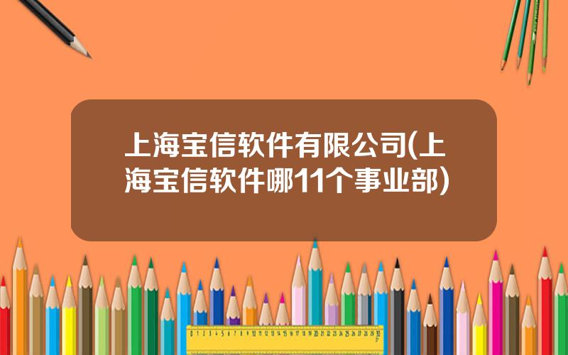 上海宝信软件有限公司(上海宝信软件哪11个事业部)