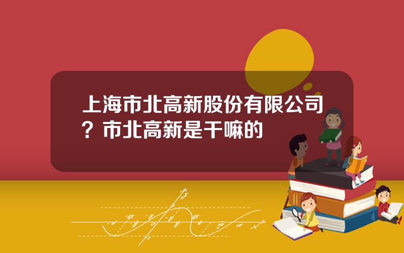 上海市北高新股份有限公司？市北高新是干嘛的