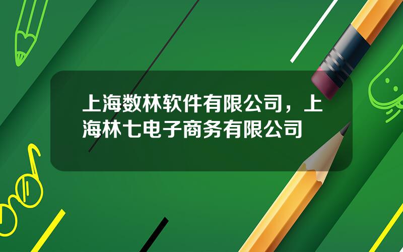 上海数林软件有限公司，上海林七电子商务有限公司