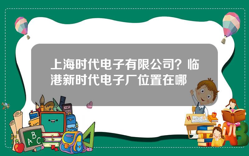 上海时代电子有限公司？临港新时代电子厂位置在哪