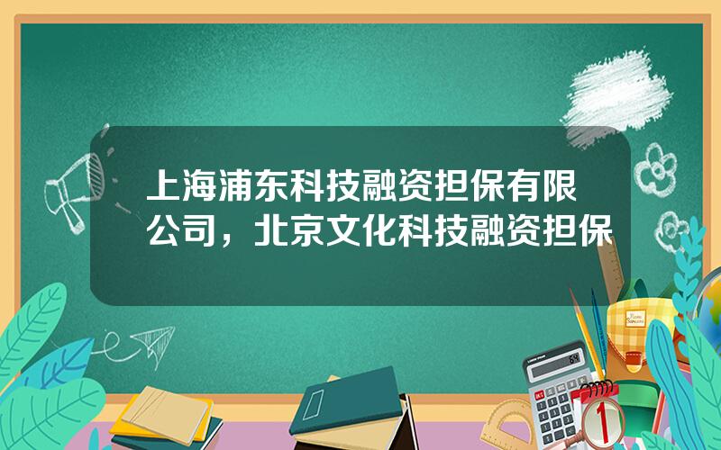 上海浦东科技融资担保有限公司，北京文化科技融资担保