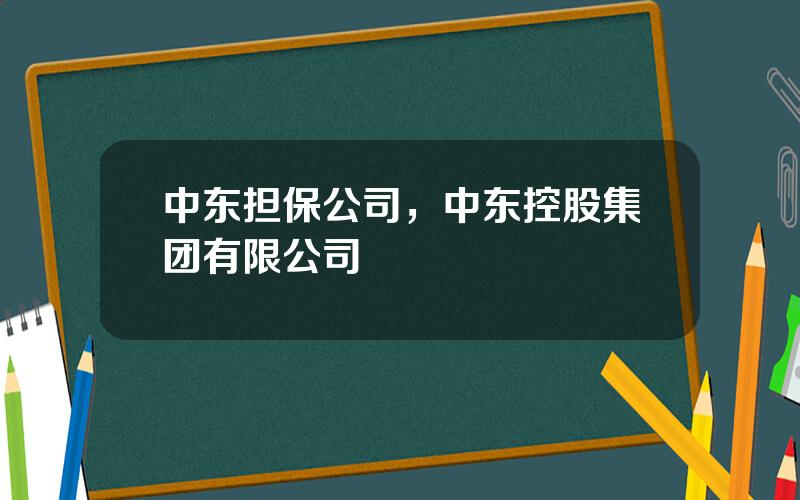 中东担保公司，中东控股集团有限公司