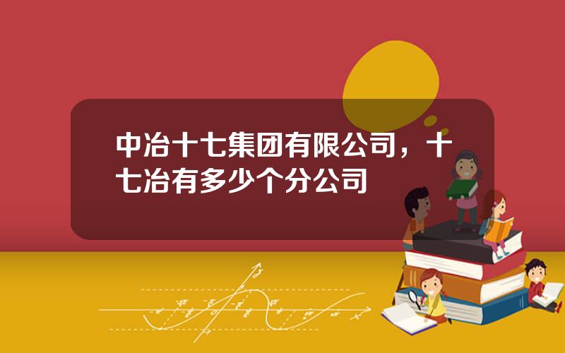 中冶十七集团有限公司，十七冶有多少个分公司