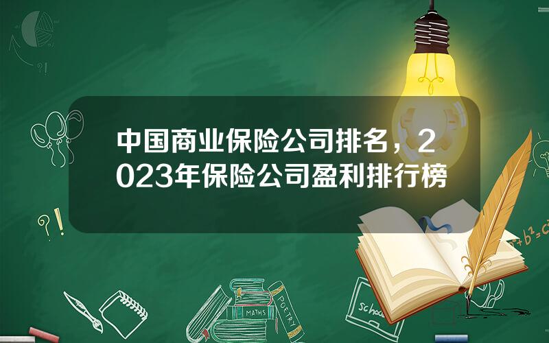 中国商业保险公司排名，2023年保险公司盈利排行榜