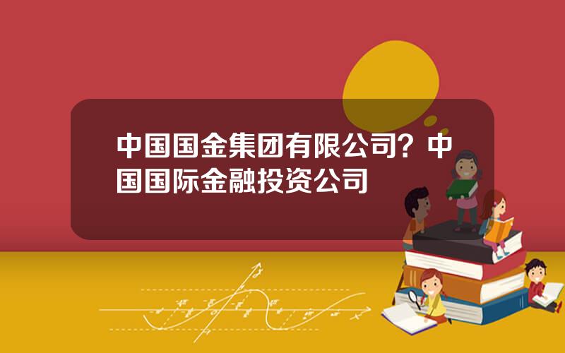 中国国金集团有限公司？中国国际金融投资公司