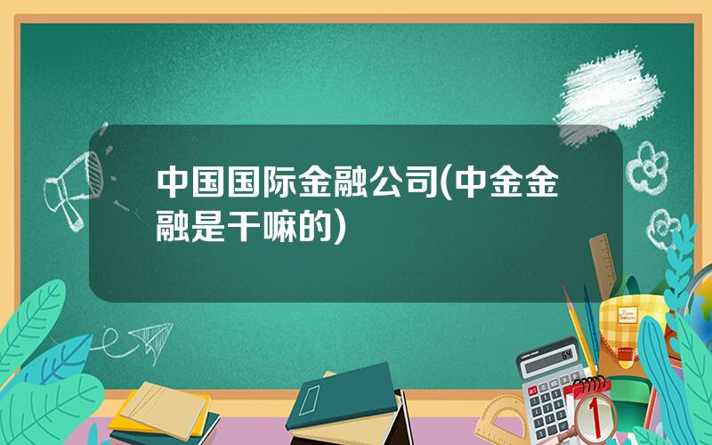 中国国际金融公司(中金金融是干嘛的)