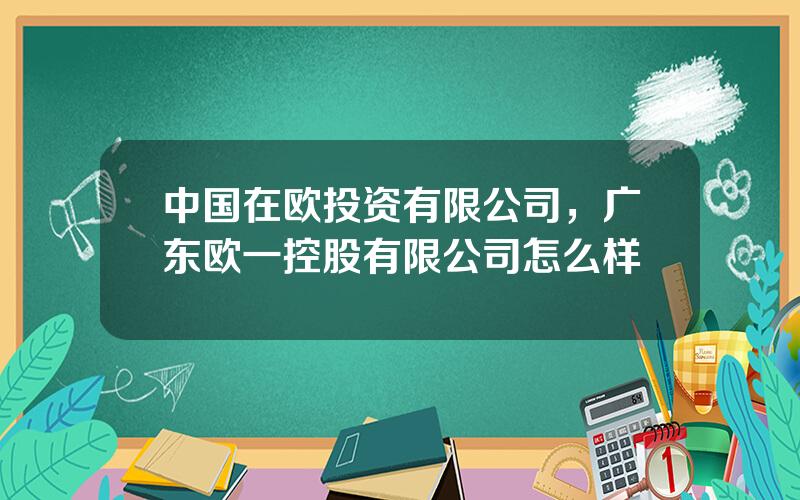 中国在欧投资有限公司，广东欧一控股有限公司怎么样