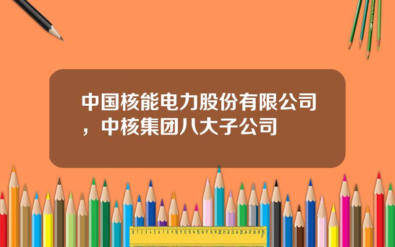 中国核能电力股份有限公司，中核集团八大子公司