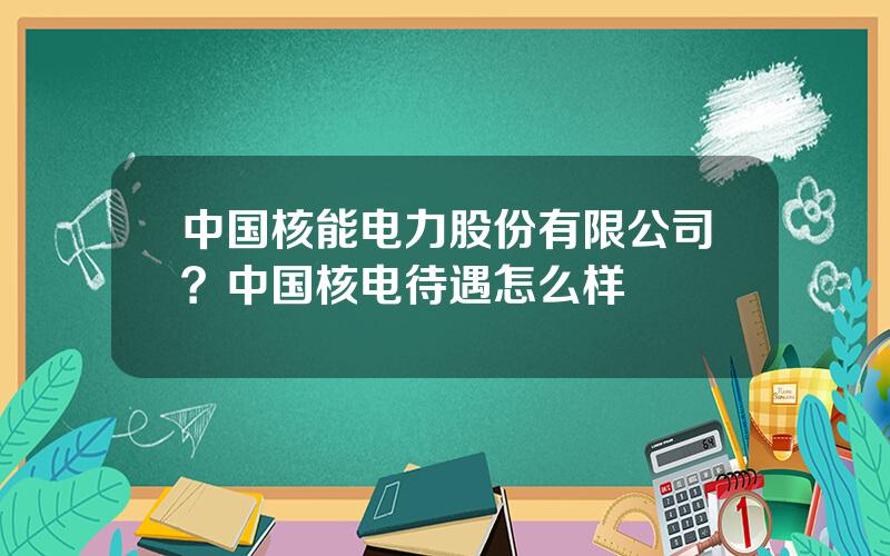 中国核能电力股份有限公司？中国核电待遇怎么样