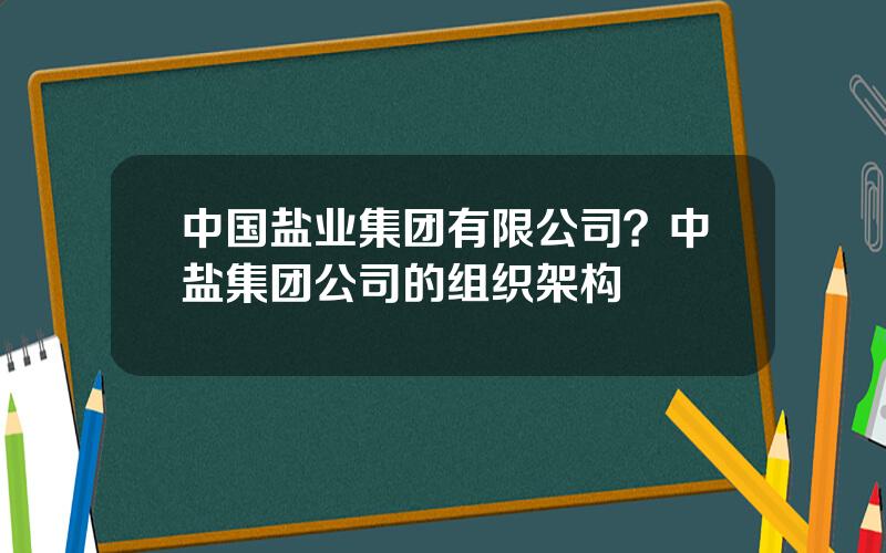 中国盐业集团有限公司？中盐集团公司的组织架构