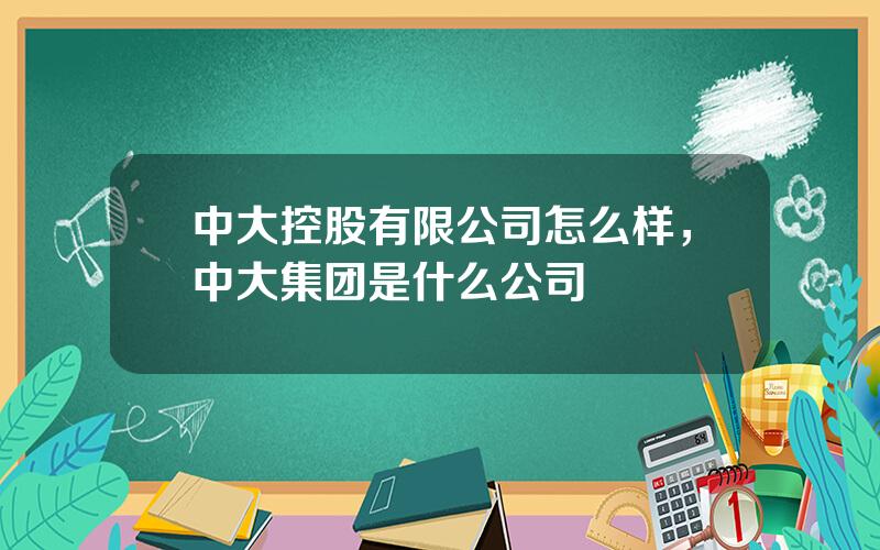 中大控股有限公司怎么样，中大集团是什么公司