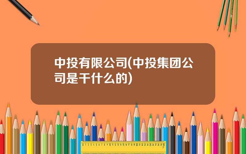 中投有限公司(中投集团公司是干什么的)