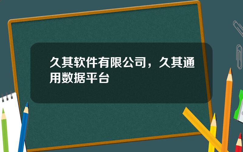 久其软件有限公司，久其通用数据平台