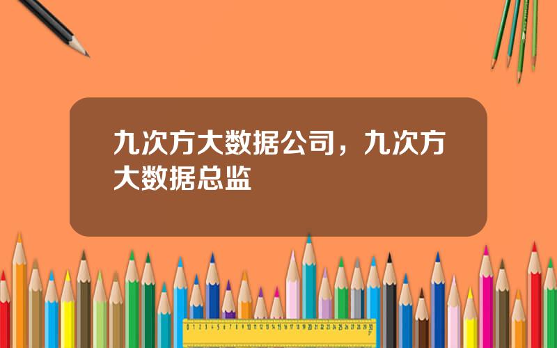 九次方大数据公司，九次方大数据总监