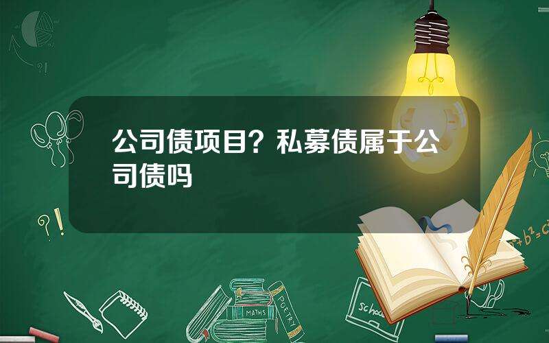 公司债项目？私募债属于公司债吗