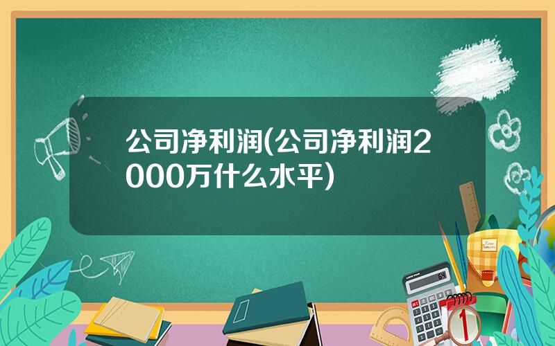 公司净利润(公司净利润2000万什么水平)