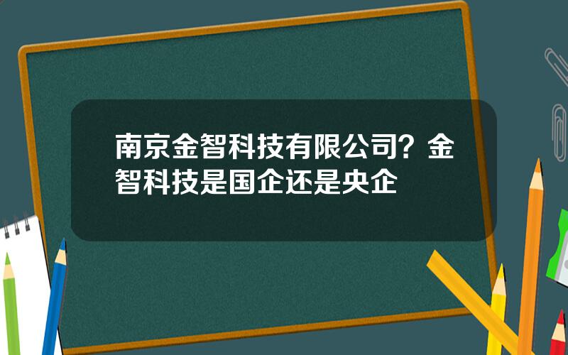 南京金智科技有限公司？金智科技是国企还是央企