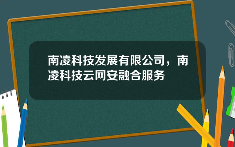 南凌科技发展有限公司，南凌科技云网安融合服务