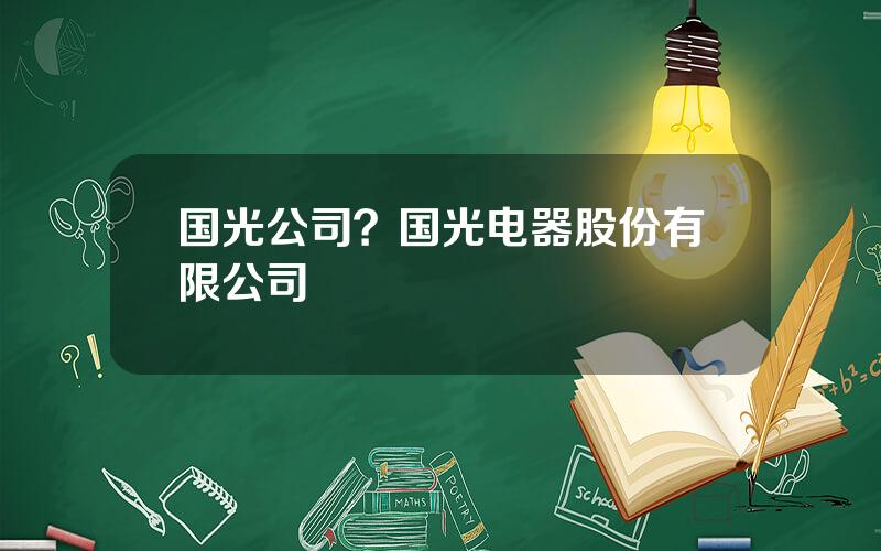 国光公司？国光电器股份有限公司