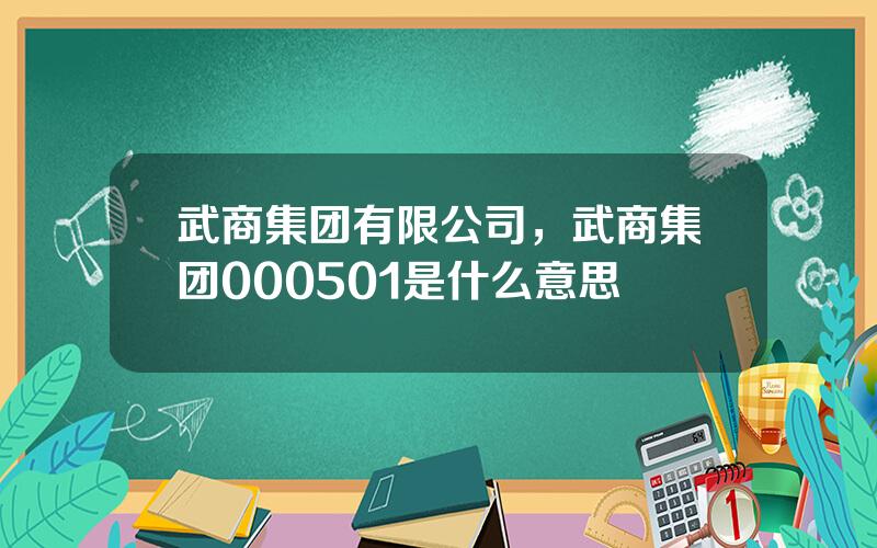 武商集团有限公司，武商集团000501是什么意思