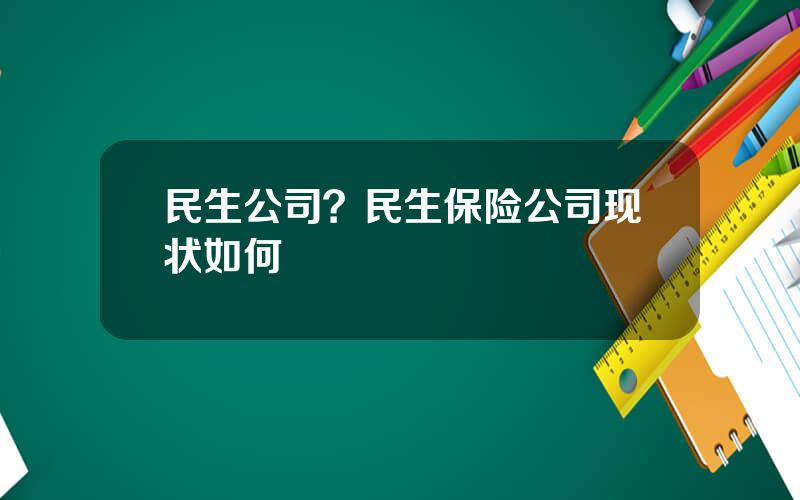 民生公司？民生保险公司现状如何