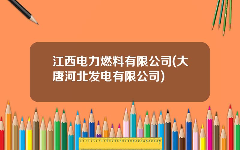 江西电力燃料有限公司(大唐河北发电有限公司)